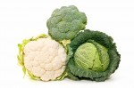 broccoli--cavoli-e-cavolfiori-354918.jpg