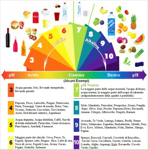 Food Vibration Chart