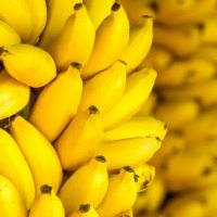 170413_bananas